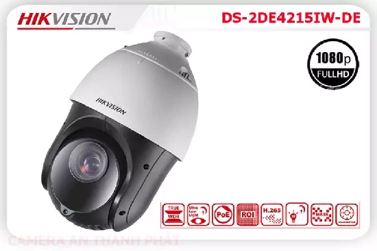 Lắp đặt camera tân phú Camera IP HIKVISION DS 2DE4215IW DE