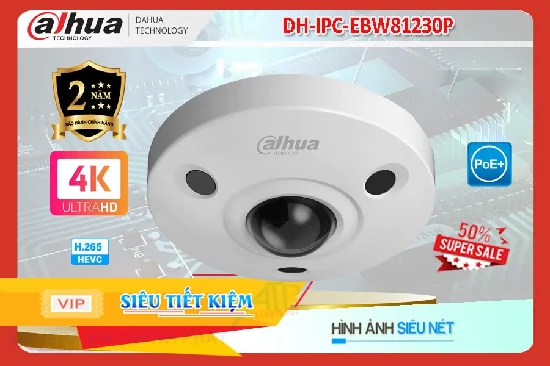 Lắp đặt camera tân phú Camera DH-IPC-EBW81230P Fisheye Dahua