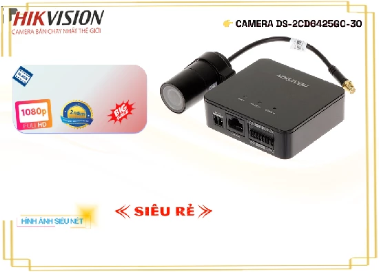 Lắp đặt camera tân phú Camera Ngụy Trang Hikvision DS-2CD6425G0-30
