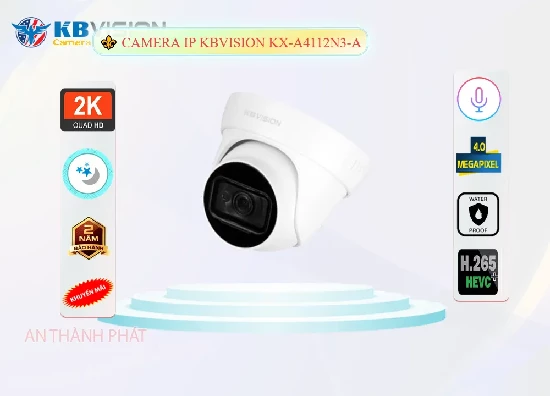 Lắp đặt camera tân phú Camera IP Dome KX-A4112N3-A
