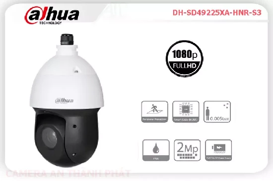 Lắp đặt camera tân phú Camera DH-SD49225XA-HNR-S3 Thiết kế Đẹp